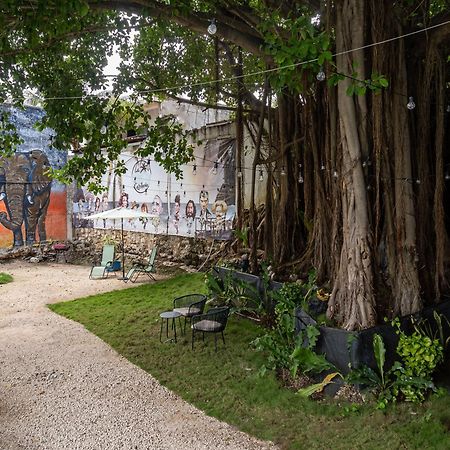 Apartamento La Quinta Caribeña Playa del Carmen Exterior foto