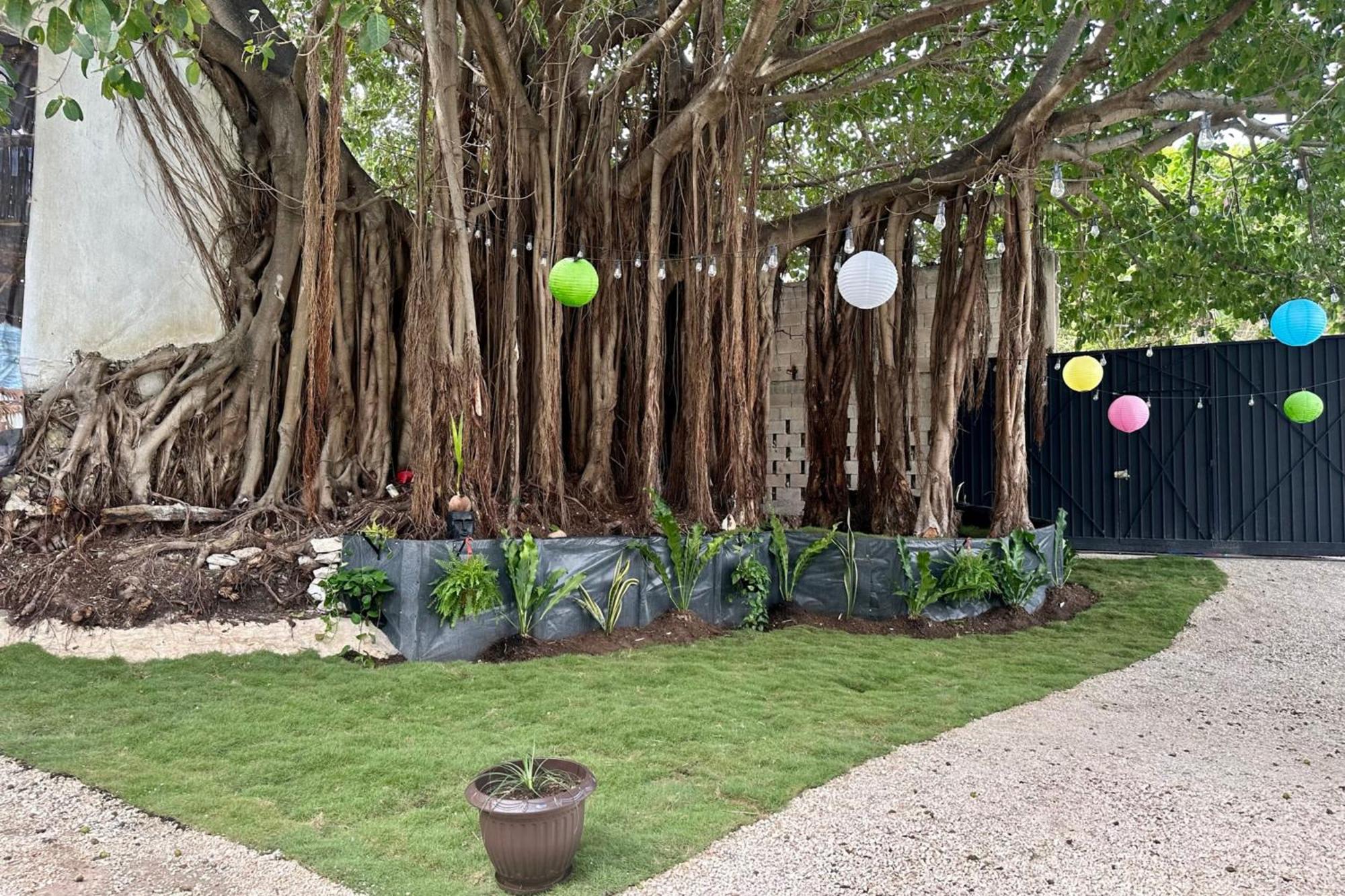 Apartamento La Quinta Caribeña Playa del Carmen Exterior foto